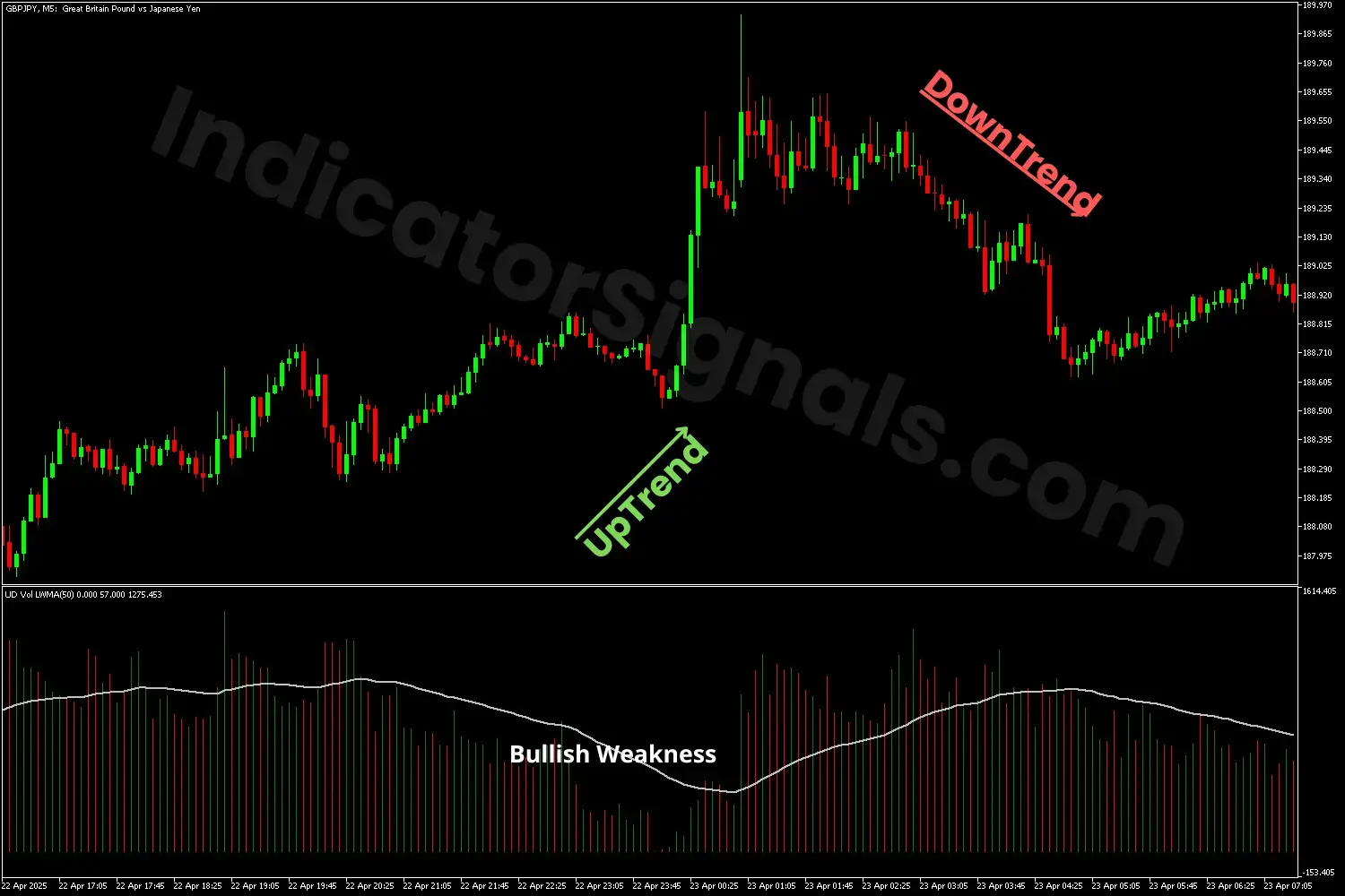 Bullish continuation using the UPDN Volume MA indicator on MT5