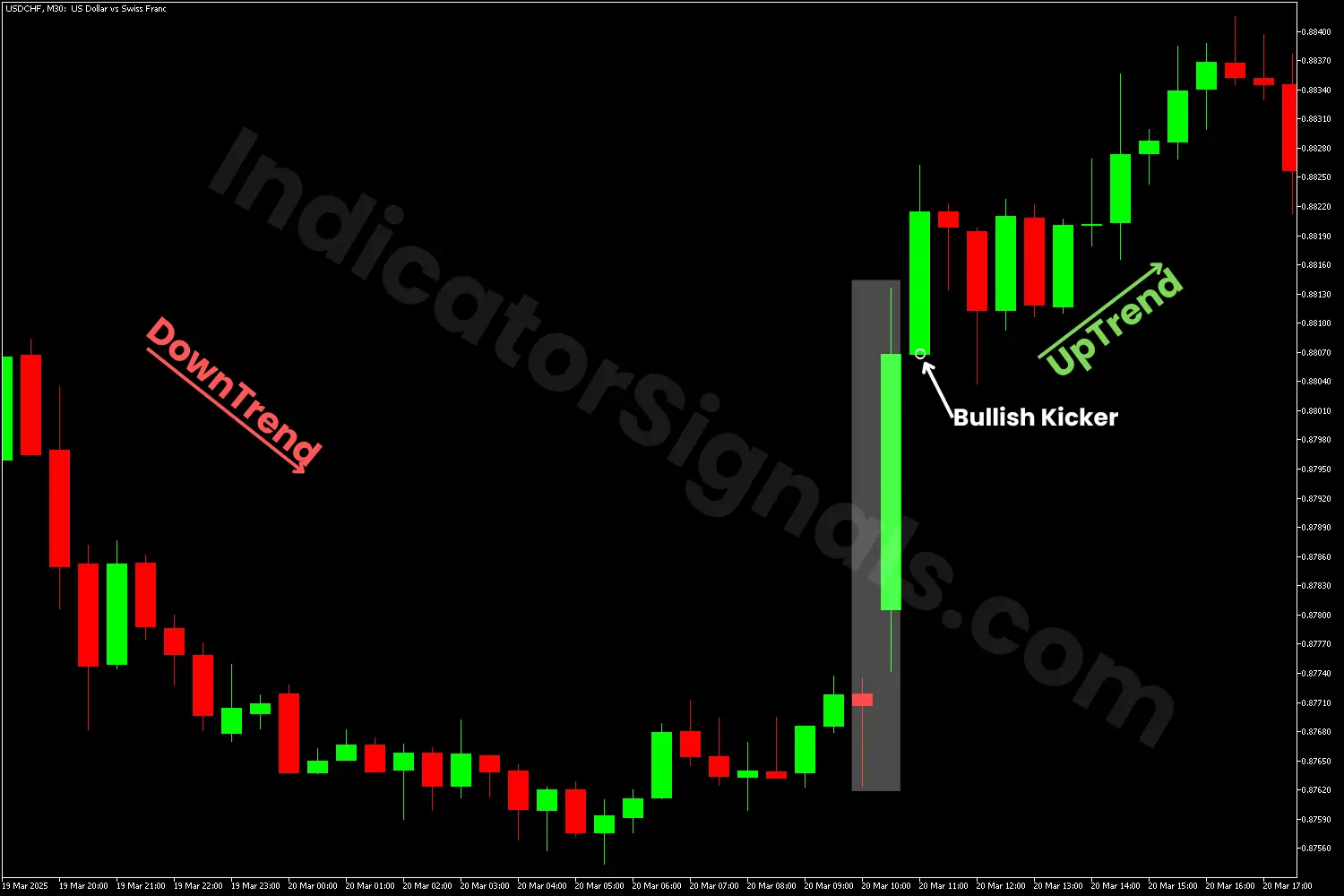 Bullish kicker pattern detecting by using the KP indicator on MT5