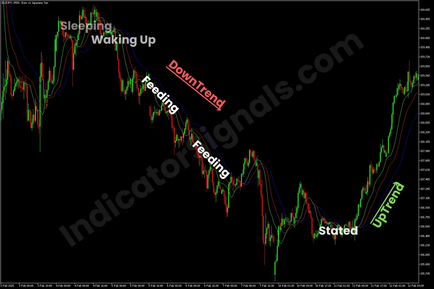 Short opportunity using the alligator indicator on MT5